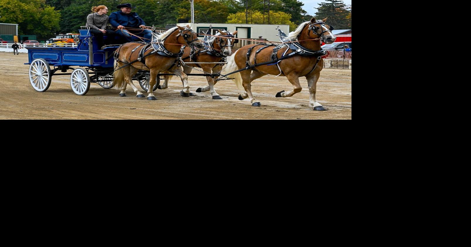 3 fall fairs in Orangeville, Shelburne and Erin
