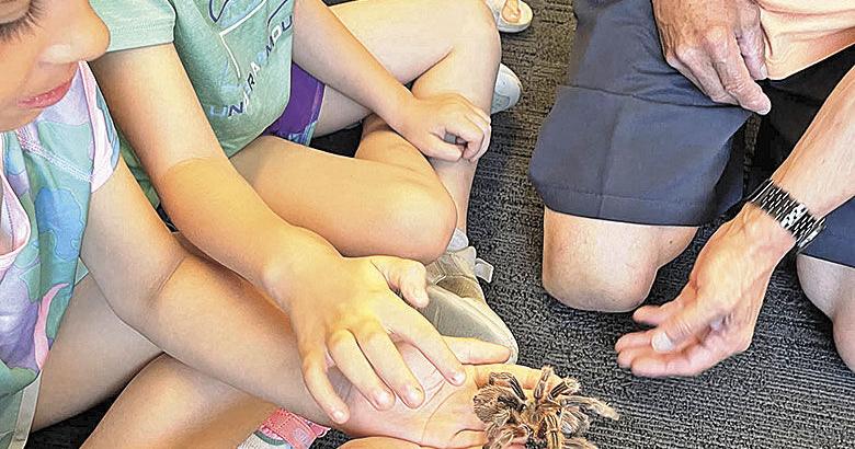 Library funding debate could mean shorter hours, fewer materials at Wilberg Memorial