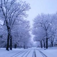 April Fools snow fun | | osceolasun.com