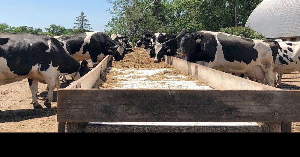 Dairy diverges in Polk County News