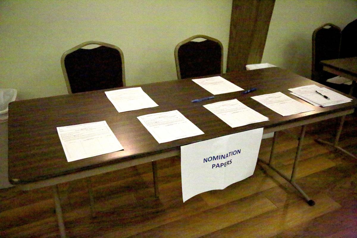 2020 Democratic Iowa Caucus