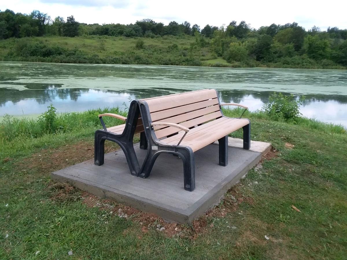 Bags to benches Local News