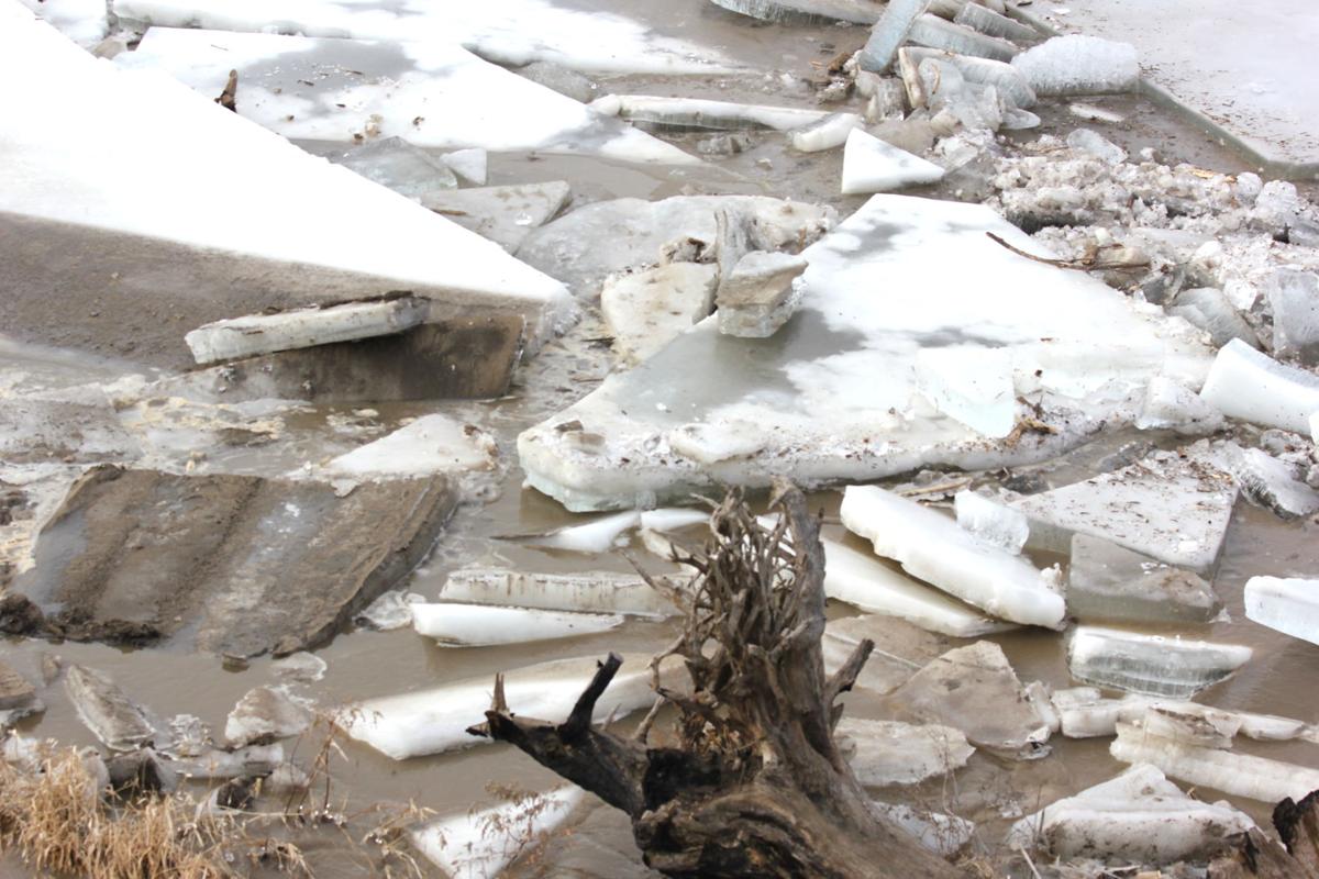 Eveland Access Des Moines river debris