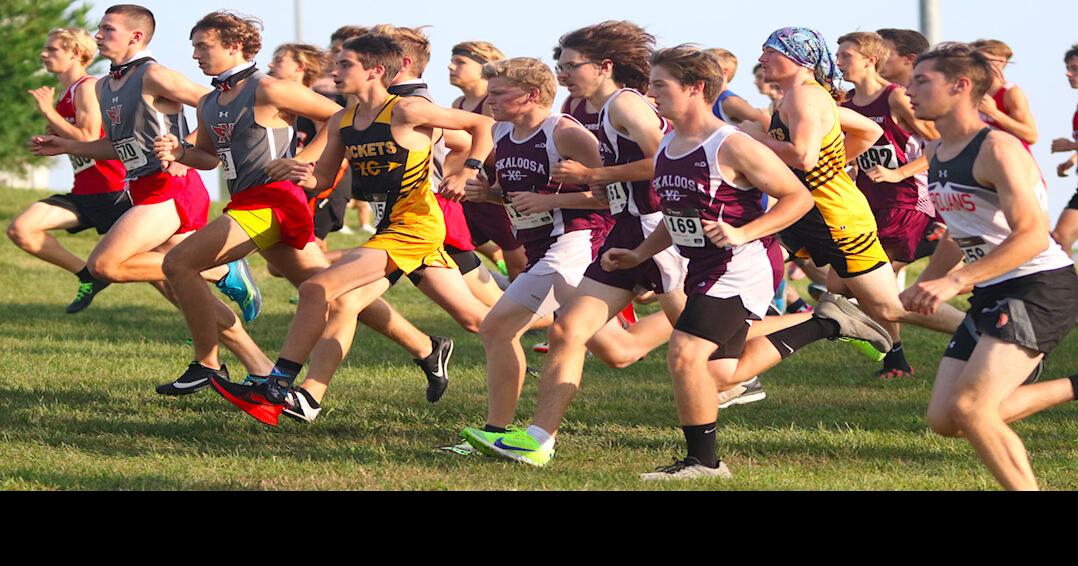 Area teams race at Little Hawkeye Conference Meet Pella