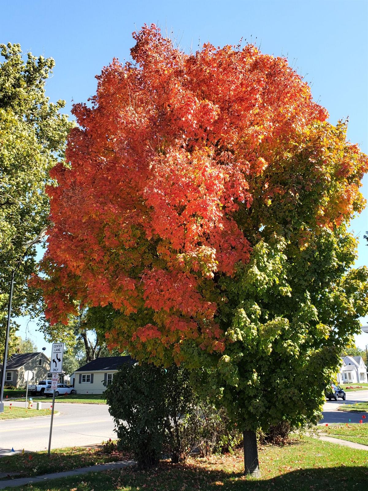 Fall 4