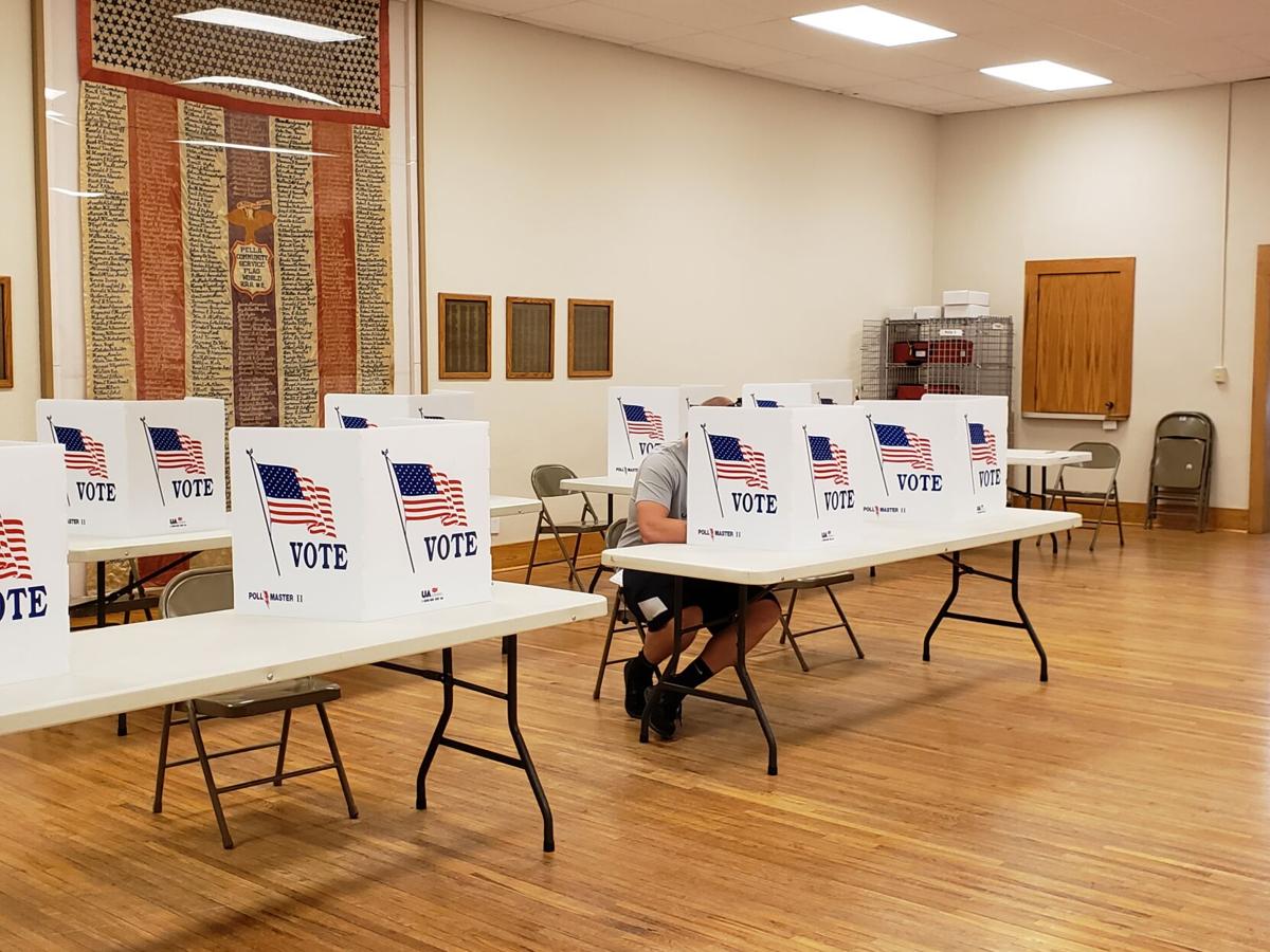 Voting 3