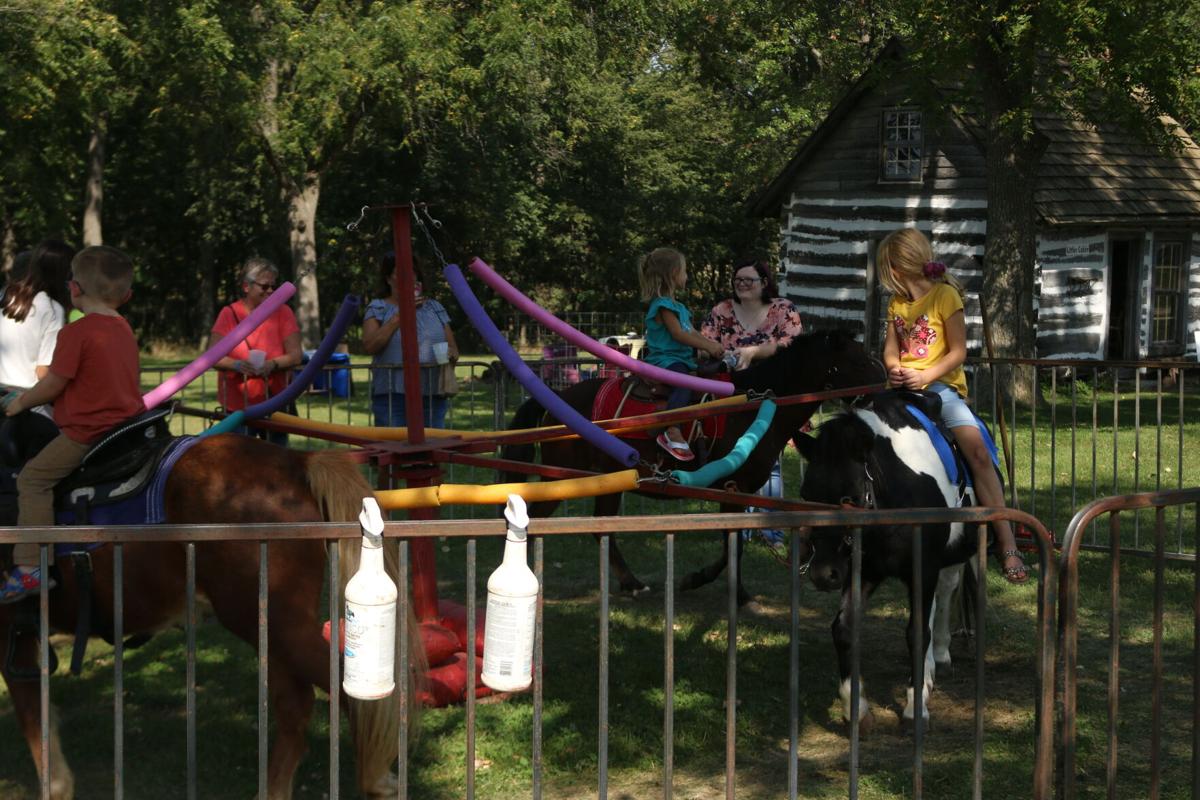 Pony Rides