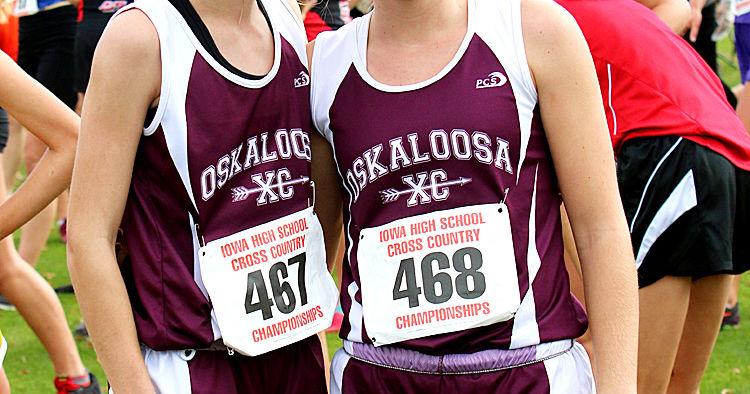 Area runners compete at state cross country meet | Local Sports ...