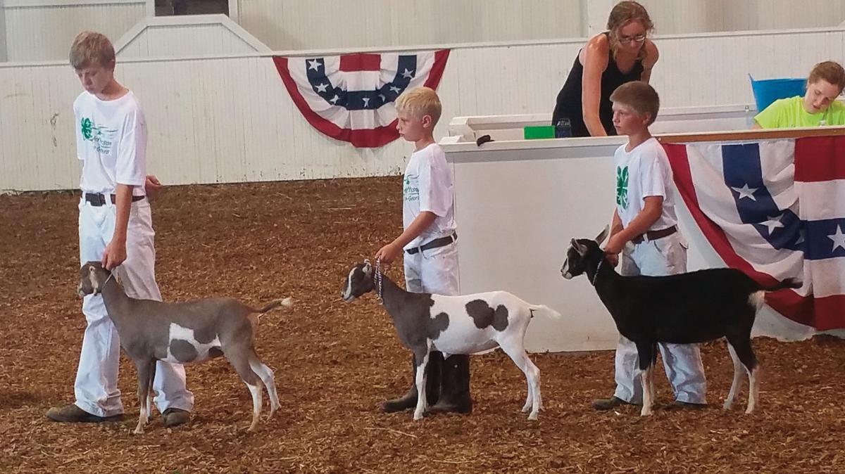 Southern Iowa Fair Schedule July 21 24 Community Oskaloosa Com