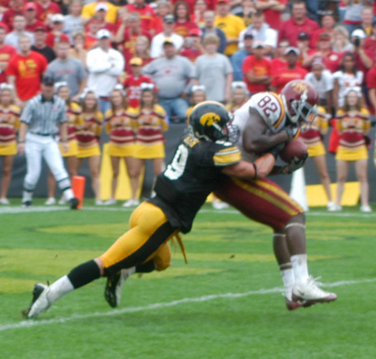 Tyler Sash career