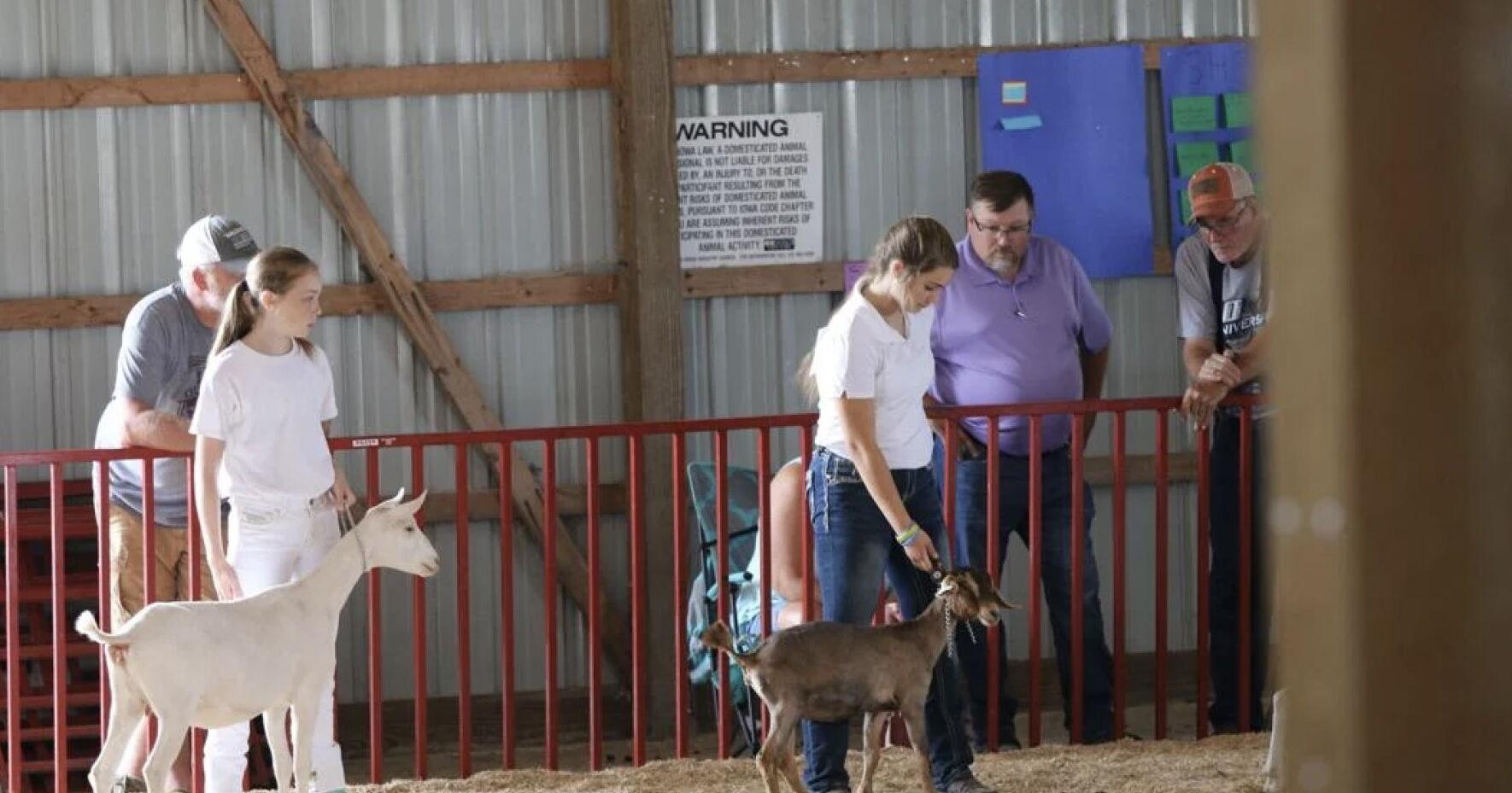 'Barn Lights & Country Nights' at the Marion County Fair - Vimarsana News