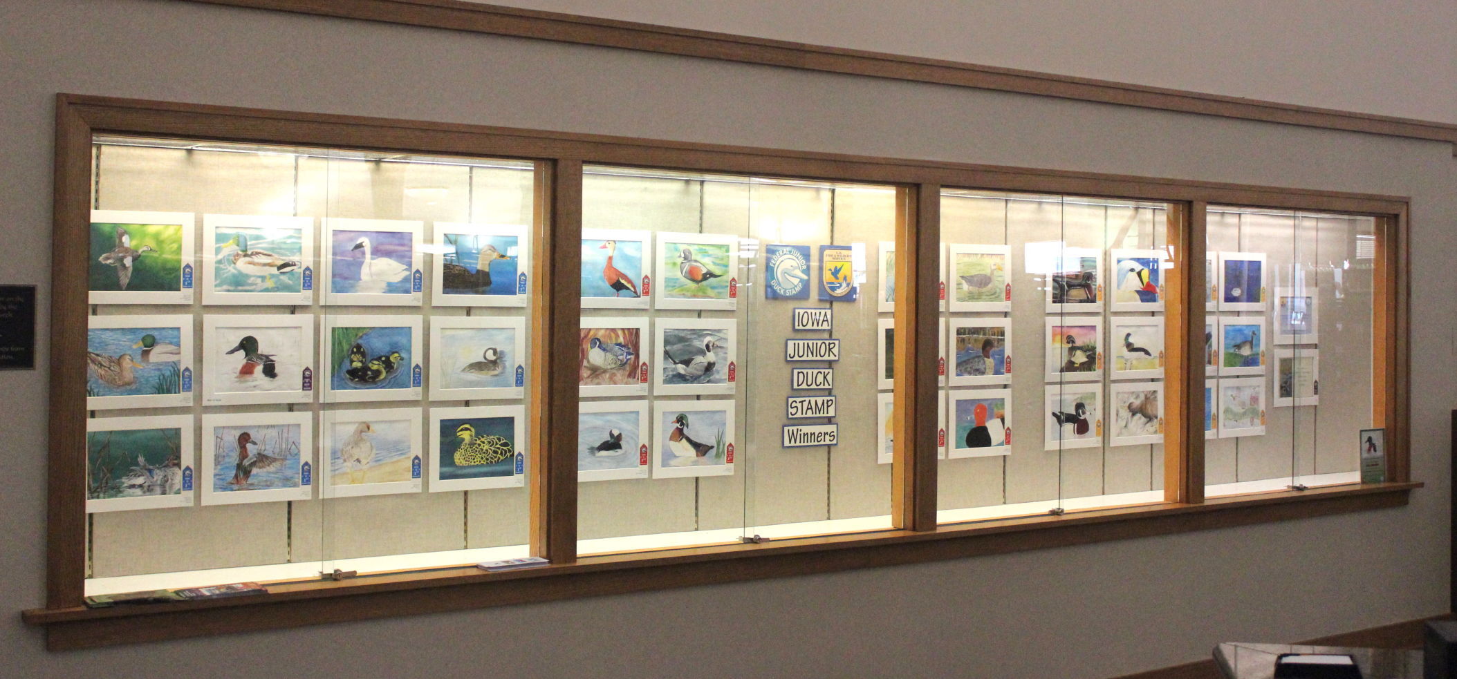 Junior Duck Stamp Contest on display Pella oskaloosa