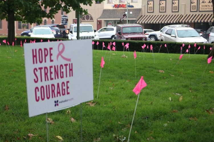 MHP hosts annual Breast Cancer Awareness Walk | Local News | oskaloosa.com