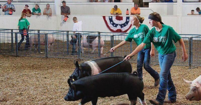 Get ready for the Southern Iowa Fair - Vimarsana News