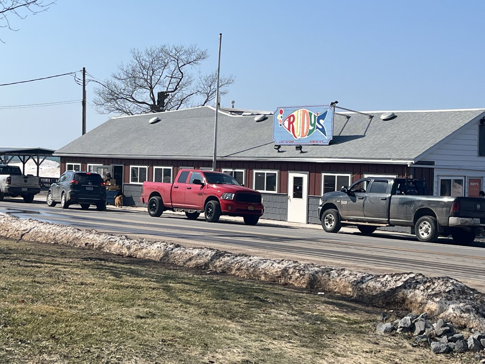 Rudy's eyes mid-March open | News | oswegocountynewsnow.com
