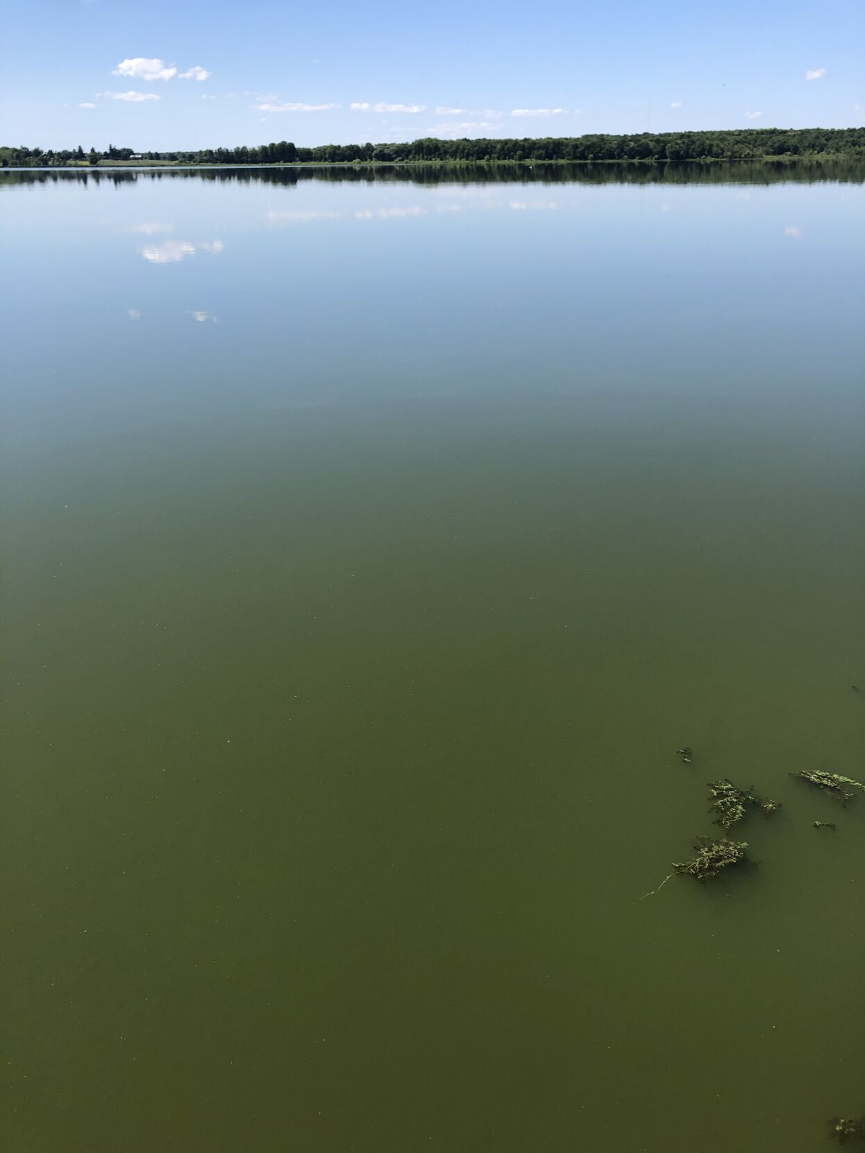 State To Deploy New Tech To Combat Algal Blooms In Lake Neatahwanta ...