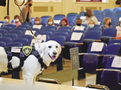 Oswego County’s first school therapy dog comes to PACS