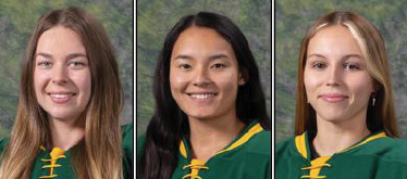 NEWHL Honorees