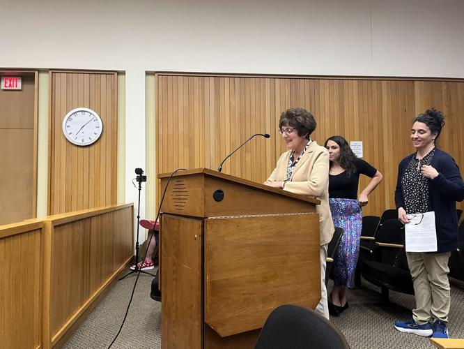 Fulton common council hears DRI updates, appoints new planning board member