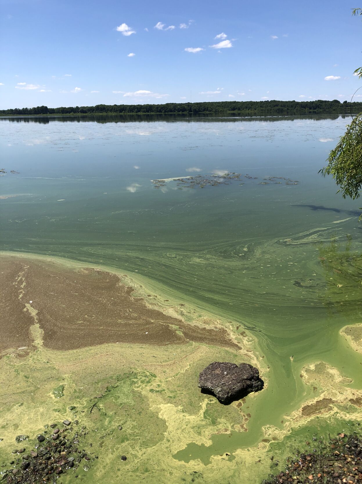 State To Deploy New Tech To Combat Algal Blooms In Lake Neatahwanta ...