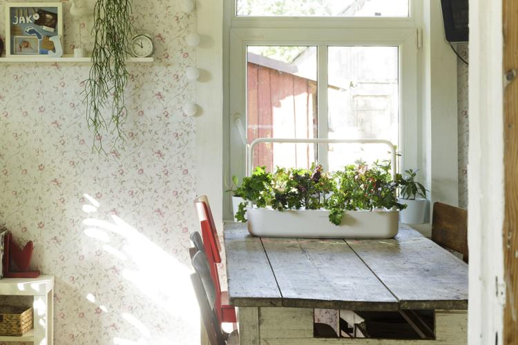 Smart Gardening-Tech