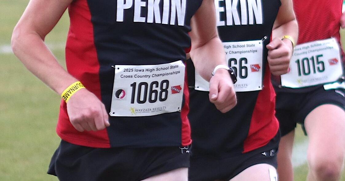 Prep cross-country: Panthers, Rockets open season at Knoxville Early Bird