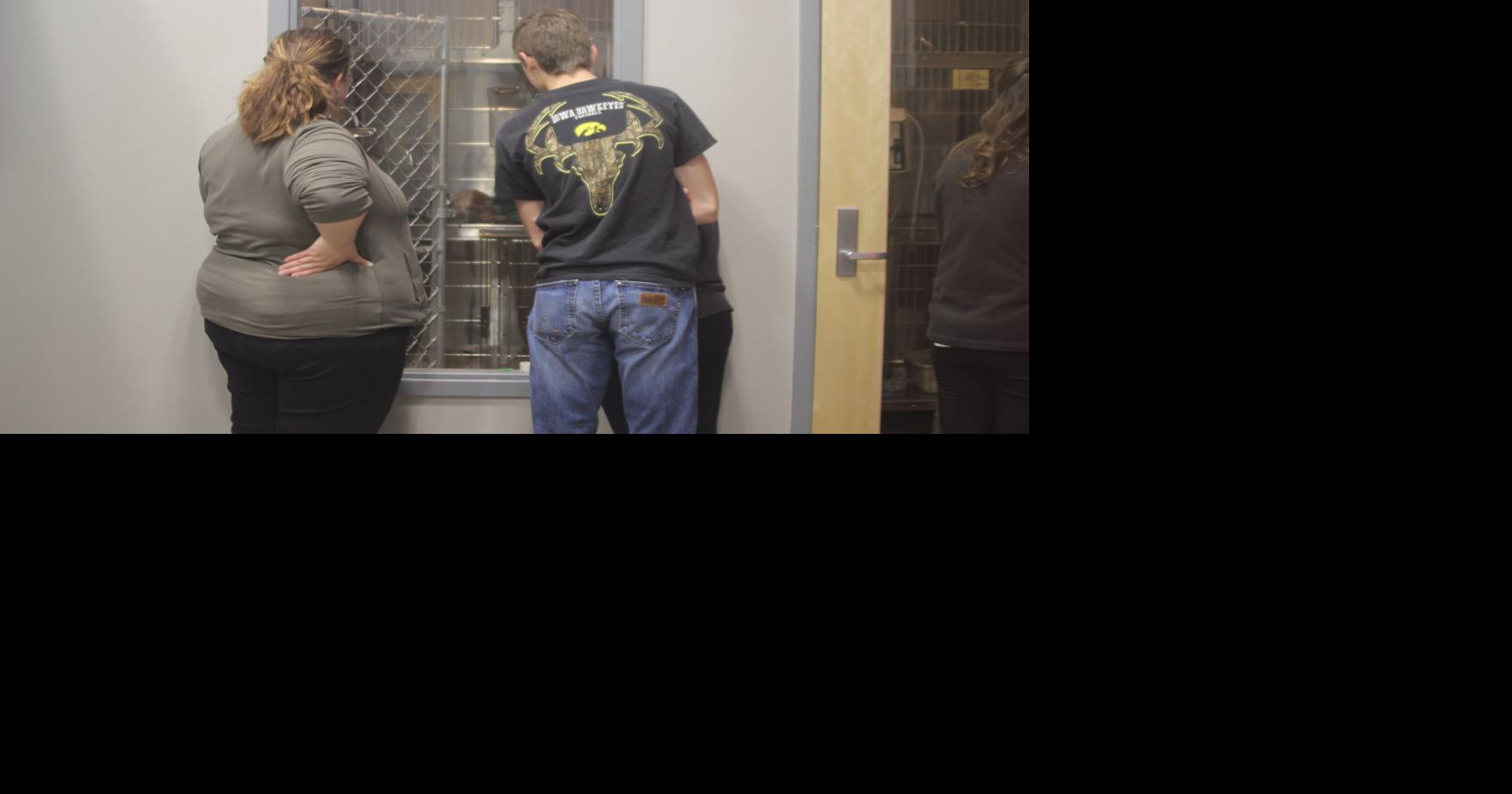 GEAR UP students explore career options at Pipestone Local News