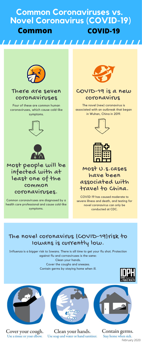 Common Coronaviruses vs_ Novel_New Coronavirus (2019-nCoV) (1).png