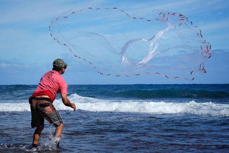 b and q fishing net KastKing Folding Landing With Boat Hook, Foldable, Extendable, Lightweight & Strong, Multi-Functional Built-in Boat Hook, Non-Slip & Bright Orange minimizing harm to catch R&R Tackle Double Fine Mesh