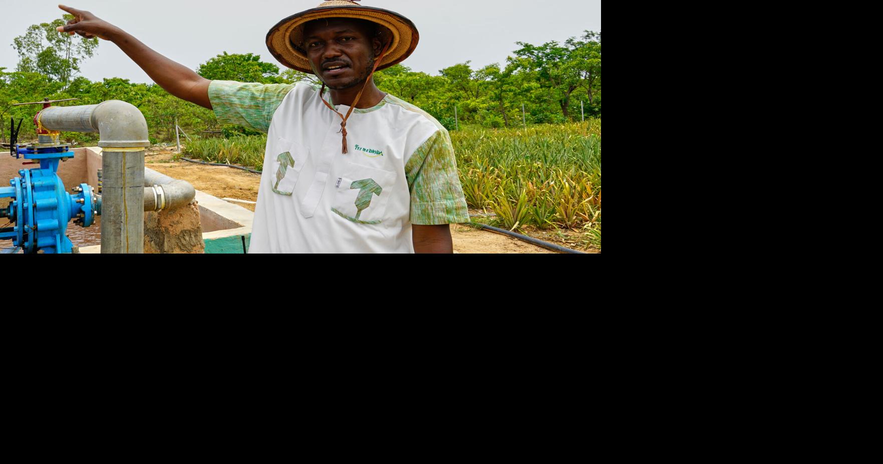 Can pineapples thrive in Africa’s Sahel? A Burkina Faso farmer says the answer is yes | National News