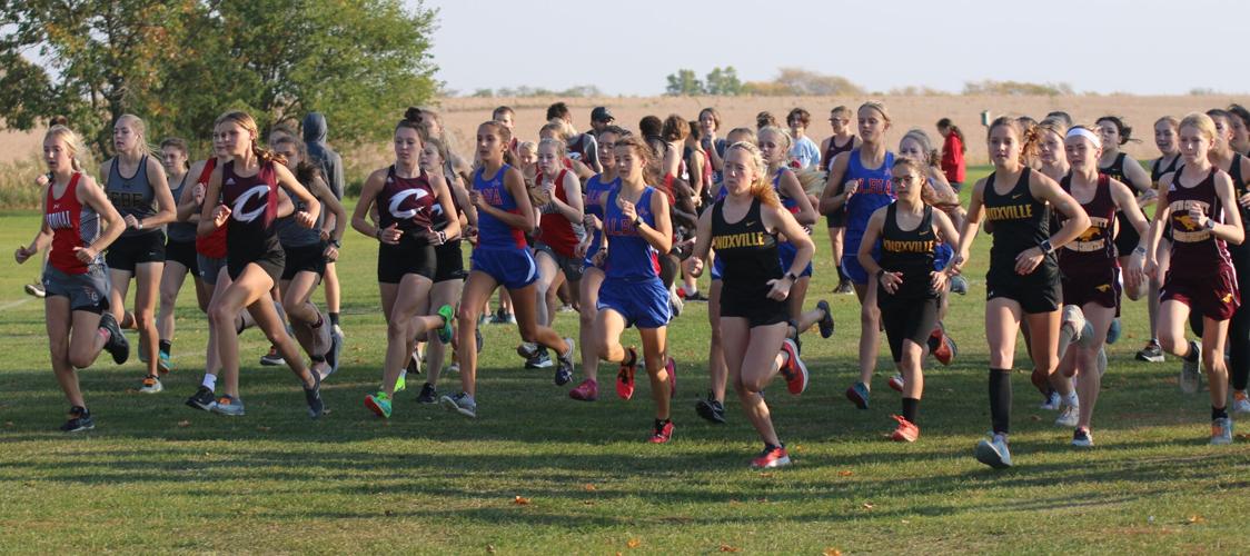 Prep cross-country: Lady Dees claim SCC title | Sports ...