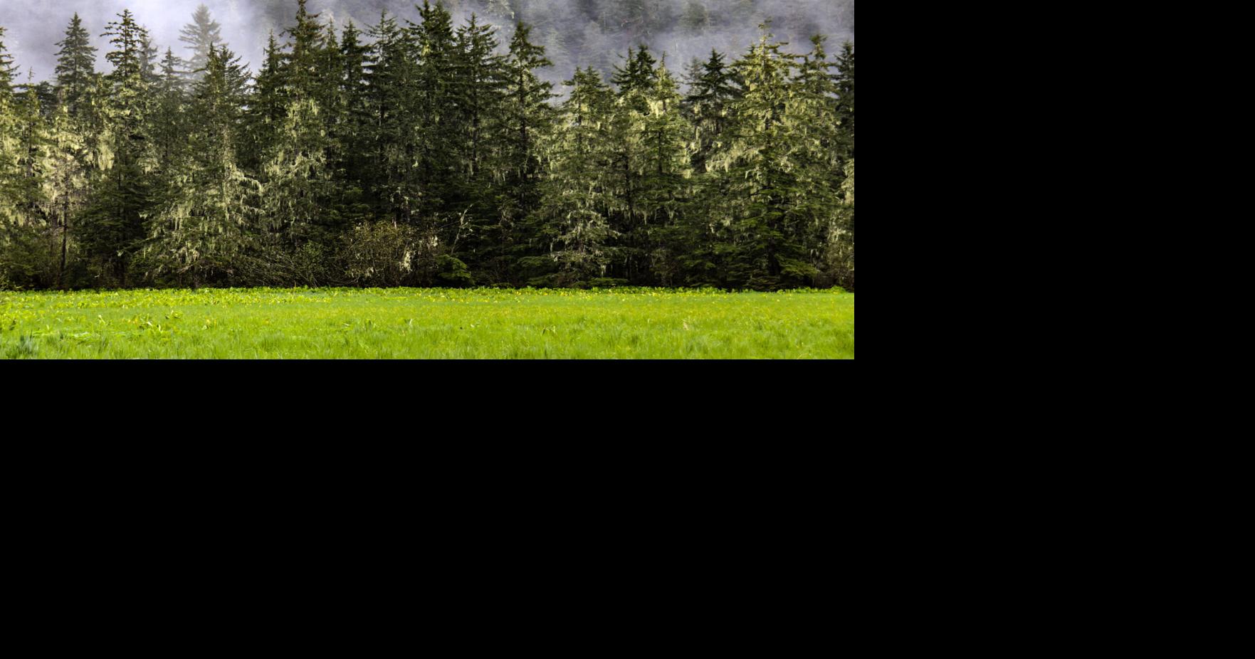 Tongass National Forest Management