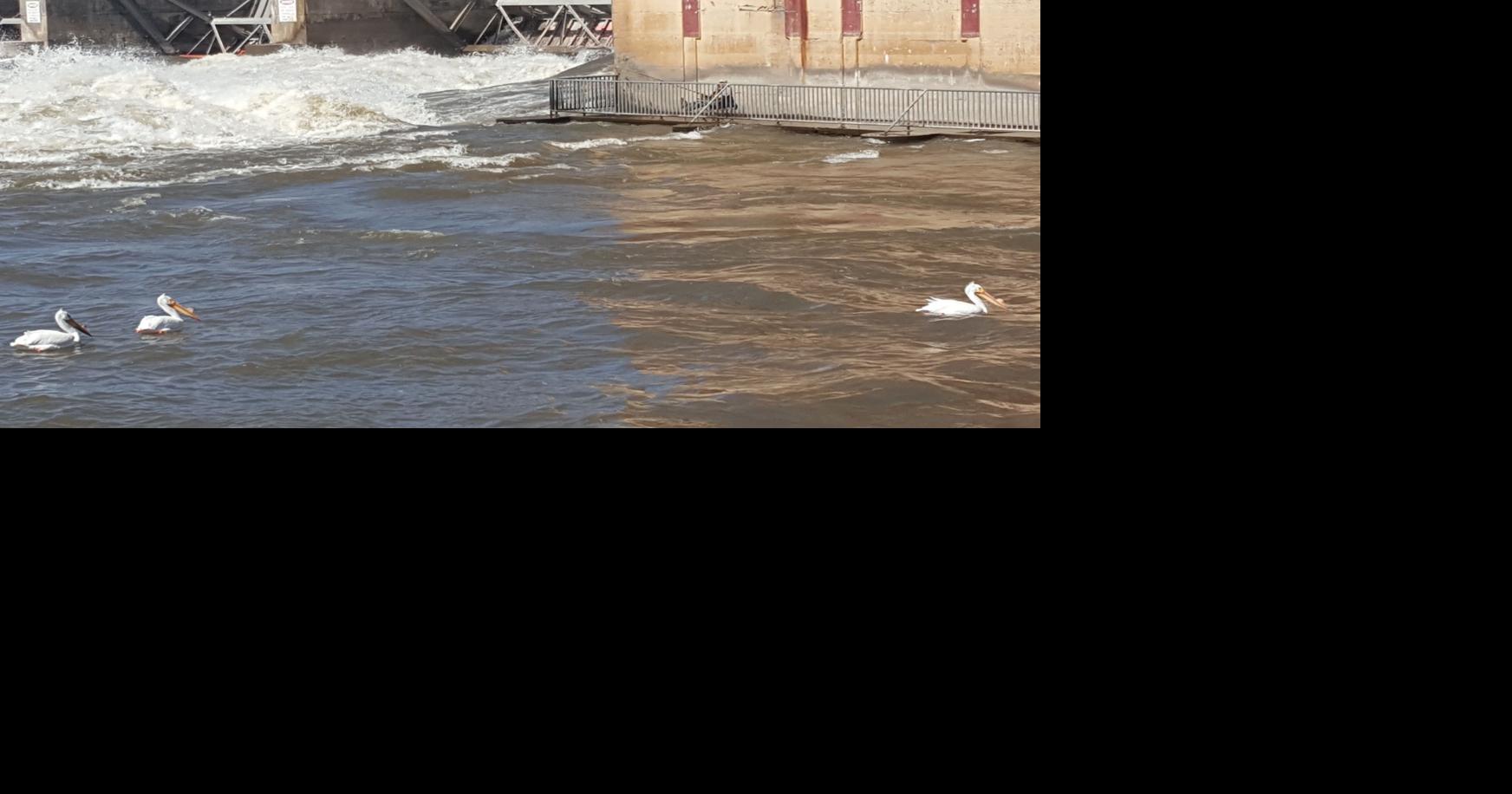 High river aids future flood control effort | News | ottumwacourier.com