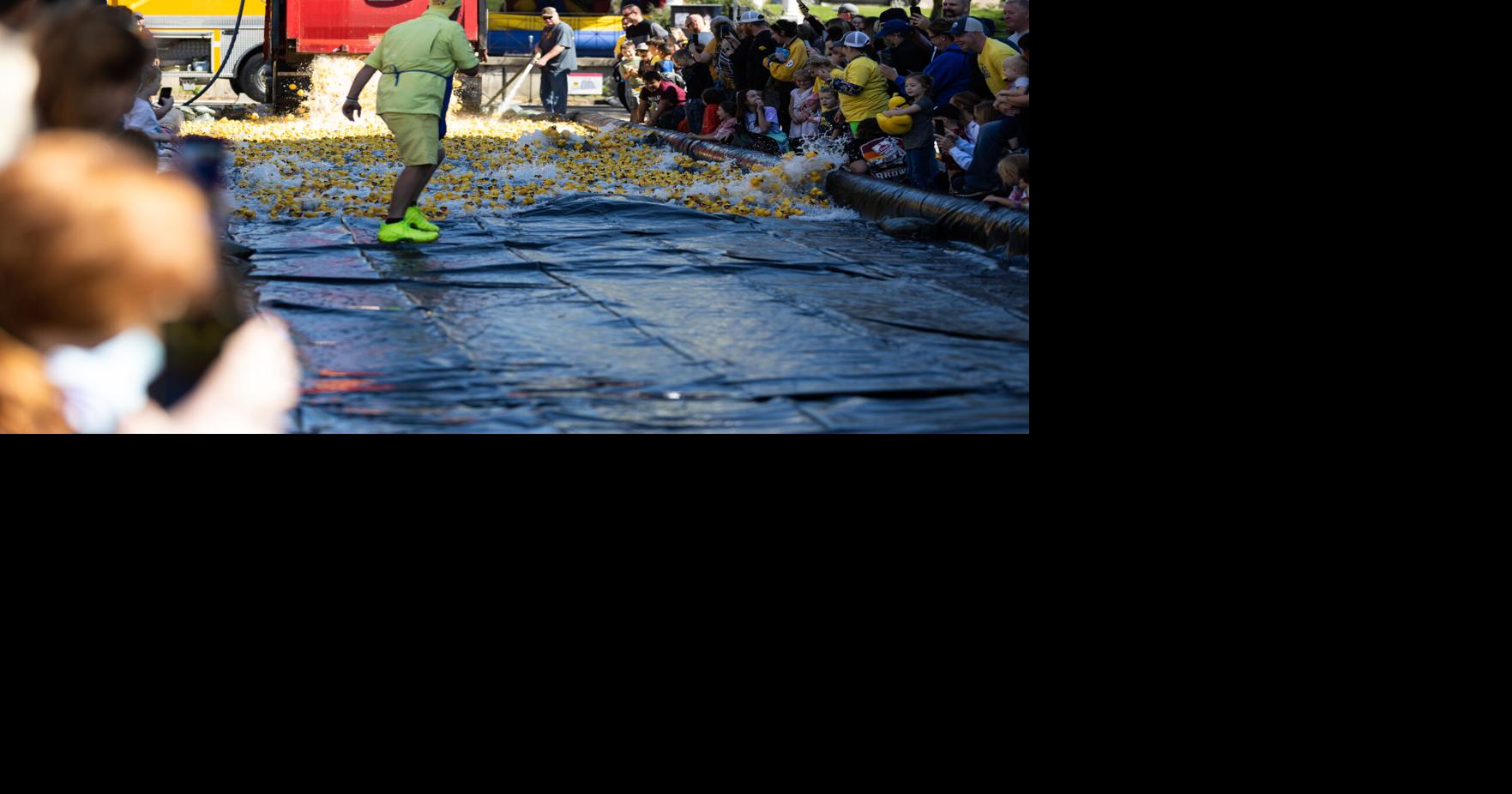 Racing ducks | News | ottumwacourier.com