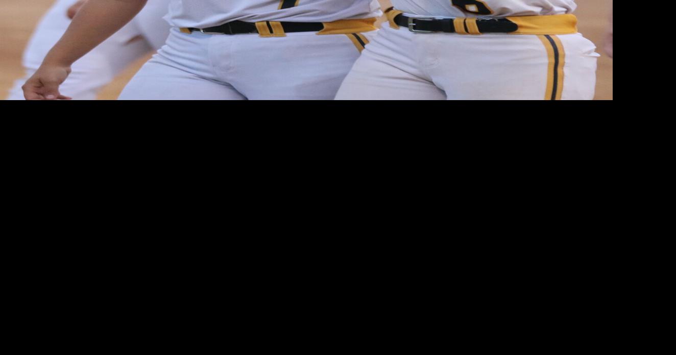 Prep softball Topranked Regina prevents EBF from another state berth