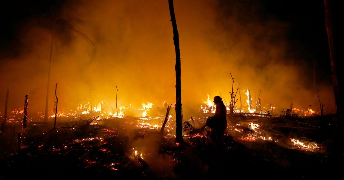 Despite gains combating deforestation in Brazil's Amazon, forest ...
