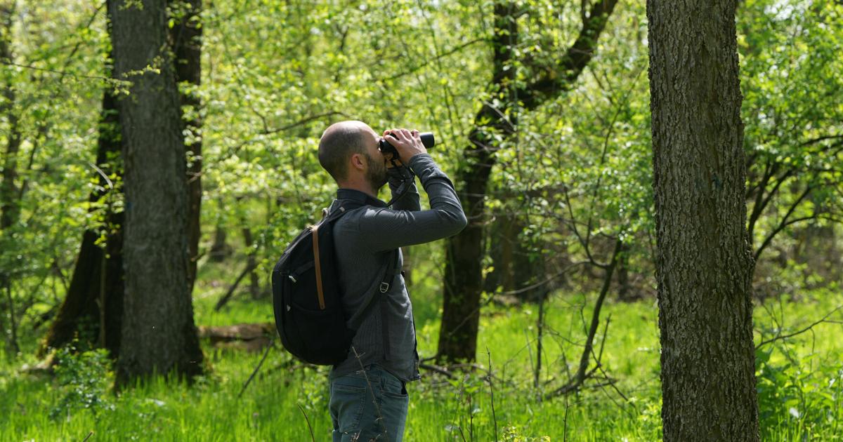 A Serbian bird-watching group uses crowdfunding to buy and preserve a ...
