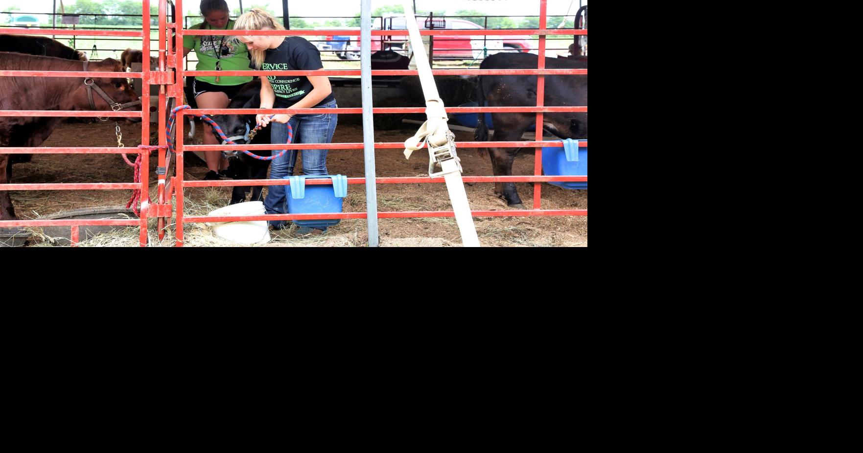 Wapello County Expo remains on schedule for mid-July | News |  ottumwacourier.com