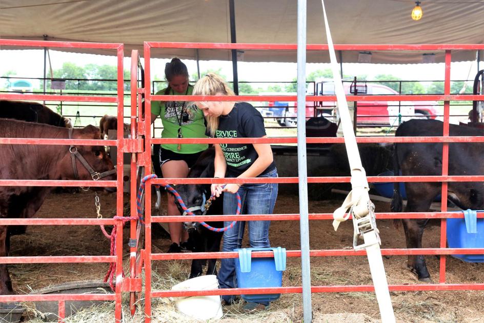 2022 4 H Fair Wapello County