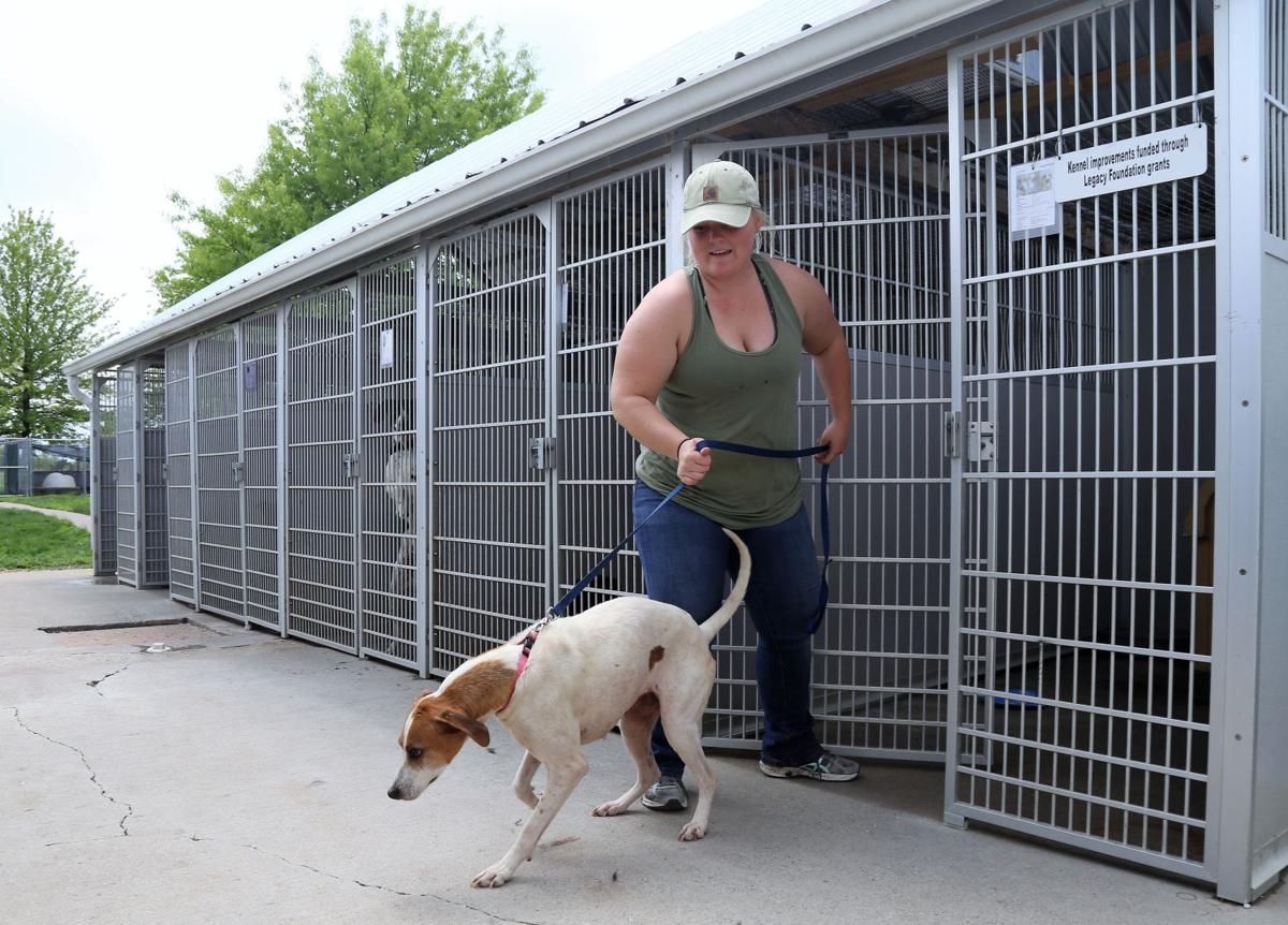 Humane Society Unveils Expansion News Ottumwacourier Com