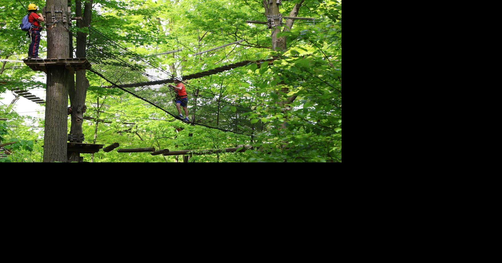 Treetop Trekking turns 20: How Ontario's aerial adventure pioneer grew to 7 locations