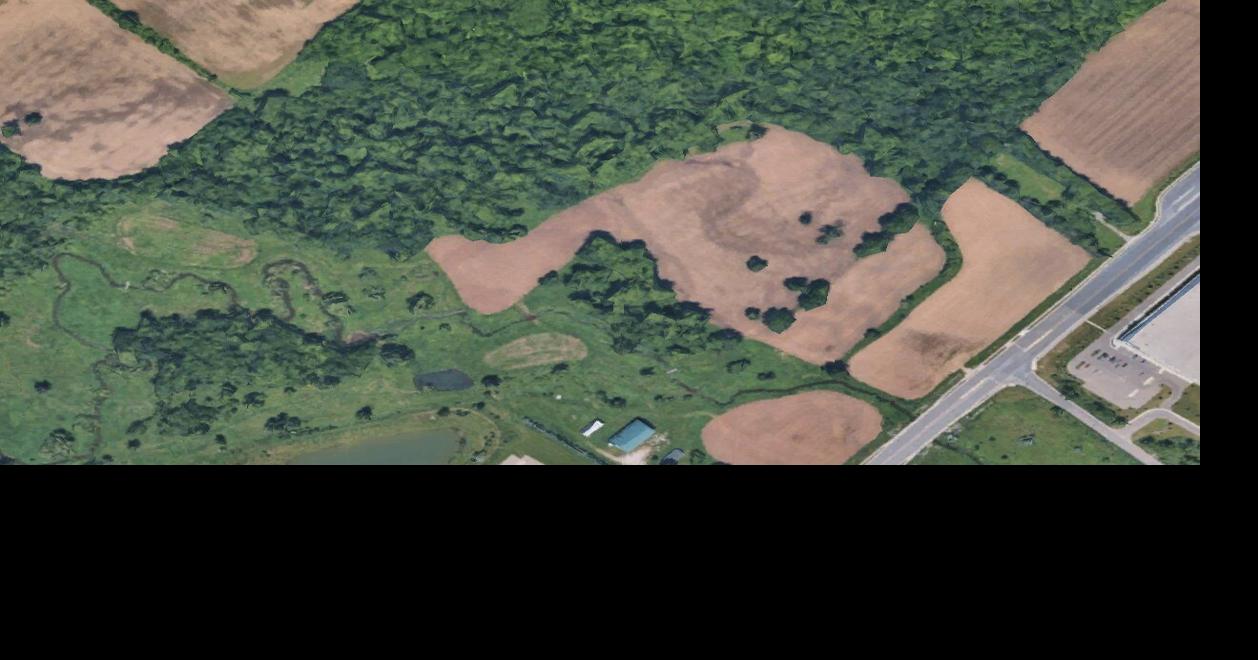 ‘Blatantly ignored': Court upholds $1M fine for destruction of thousands of protected Halton trees