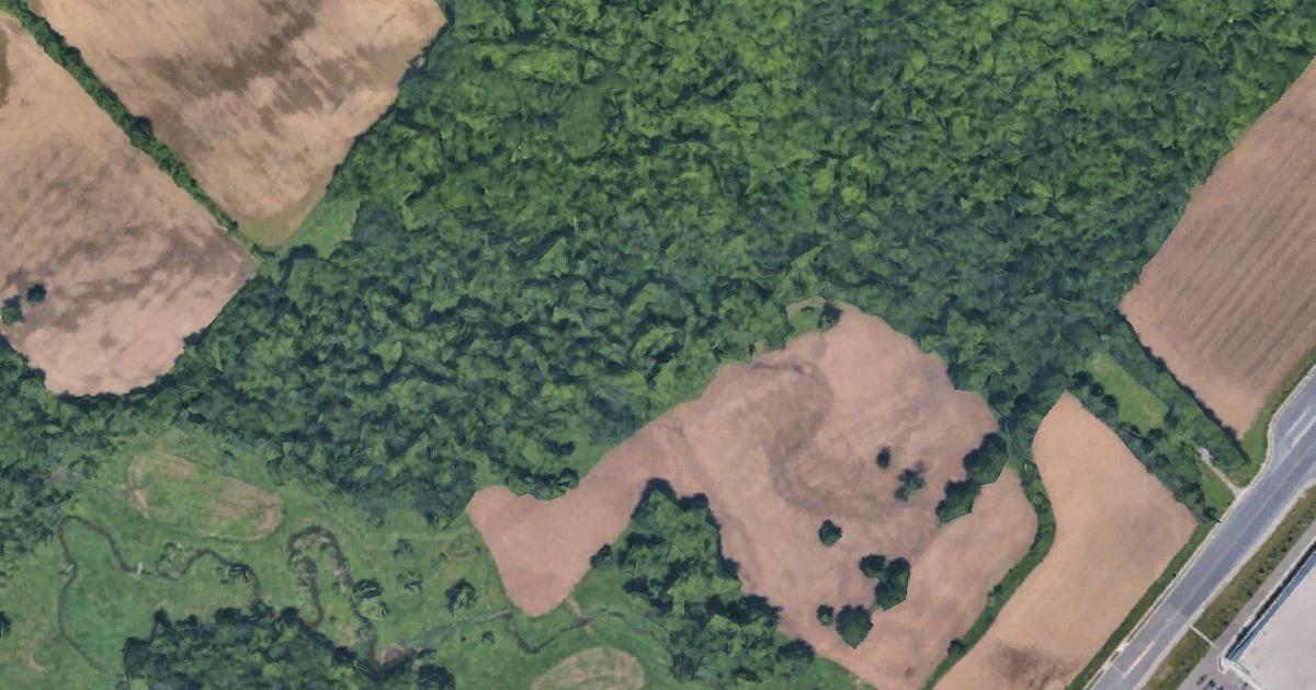 ‘Blatantly ignored': Court upholds $1M fine for destruction of thousands of protected Halton trees