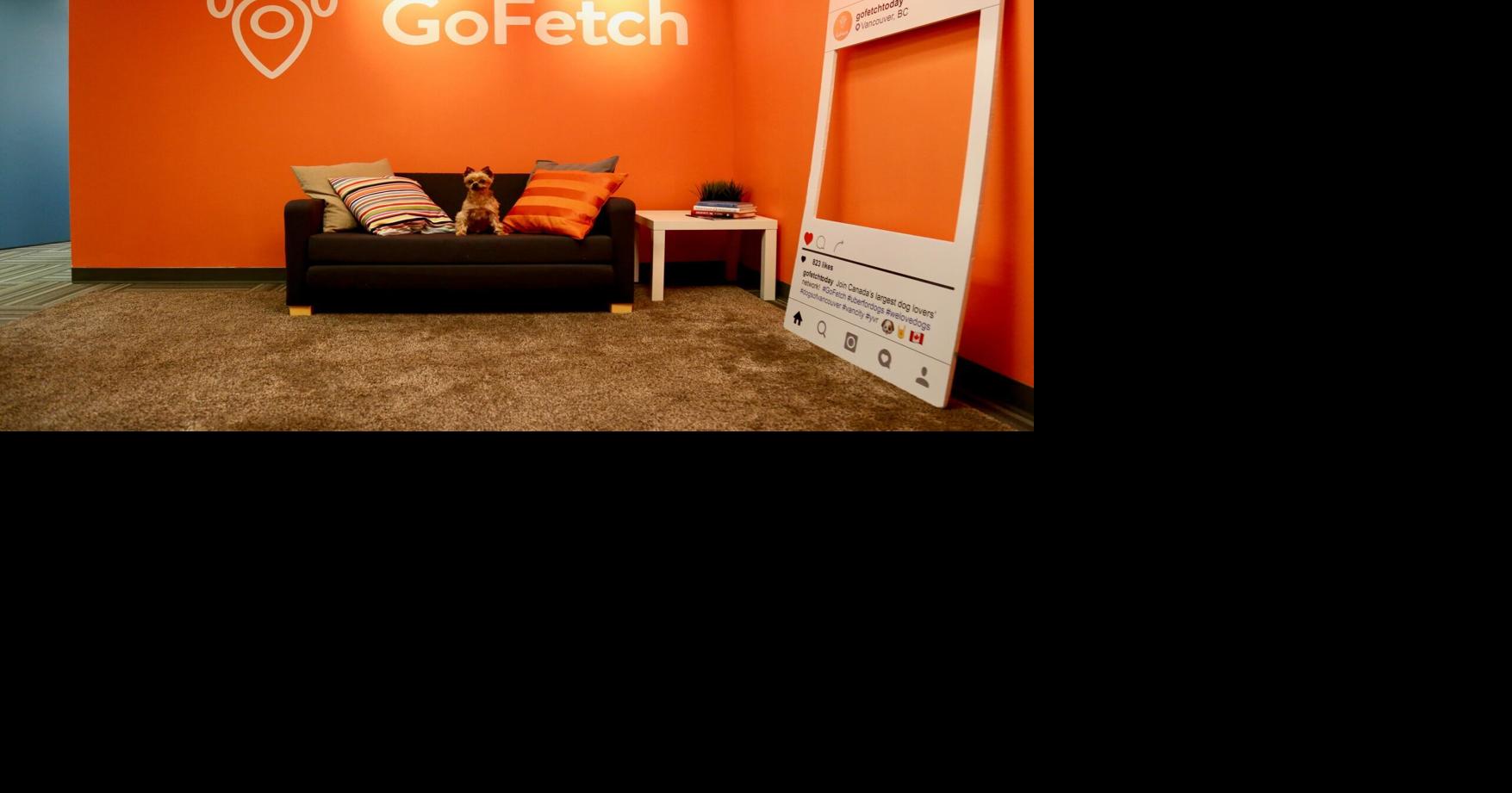 Airbnbstyle dog sitting app launches in Windsor