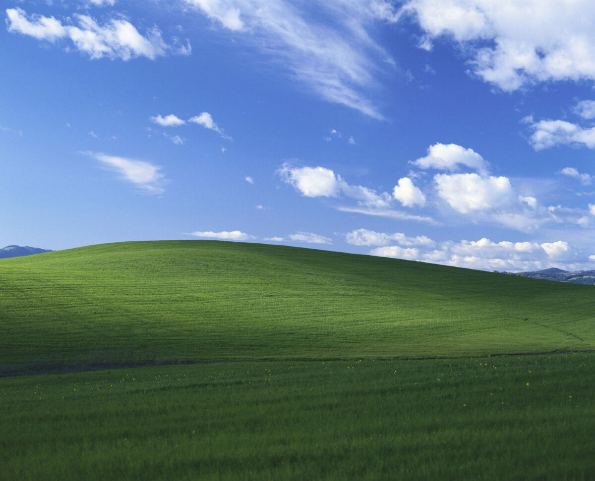 This Windows wallpaper was a real photo — and here's the guy who