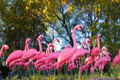 FREE printable PINK FLAMINGO ART - Place Of My Taste