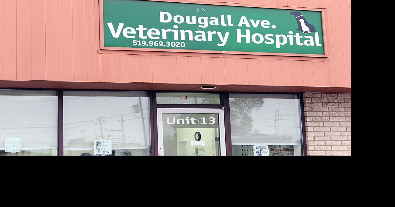 Six month suspension handed down to Windsor veterinarian
