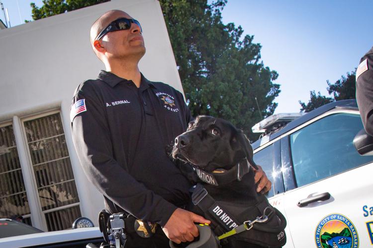 Hundreds Come to Honor Fallen Burbank Police Dog | Burbank Leader ...