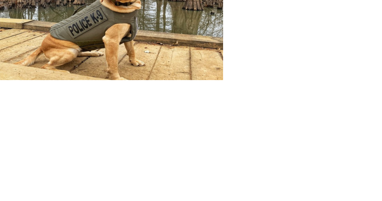 West Kentucky K-9 conservation officer receives bullet and stab protective vest - Vimarsana News