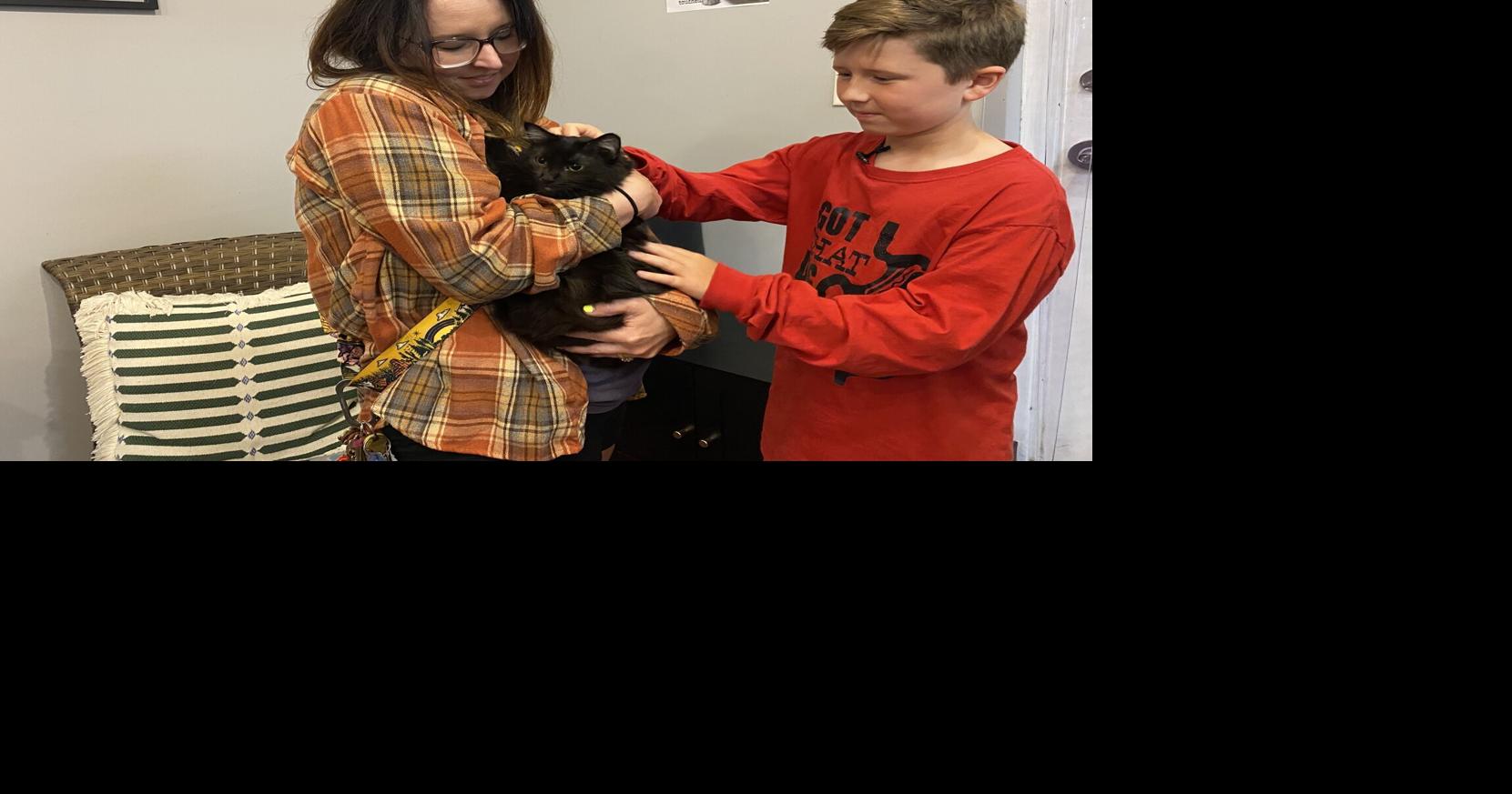 Former Meows of Hope cat finds forever home | News | paducahsun.com